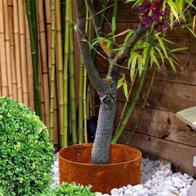 แหวนต้นไม้แนวนอน Corten Steel หนา 2 มม. พร้อมขอบพับด้านบน